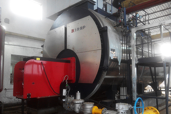力邦製藥有限（xiàn）公司6噸一體燃（rán）氣蒸汽鍋爐案例