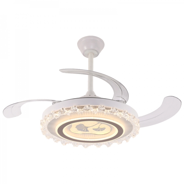 6260金錢草（cǎo）-42寸