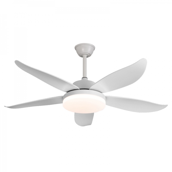 CT25-039-5葉（yè）