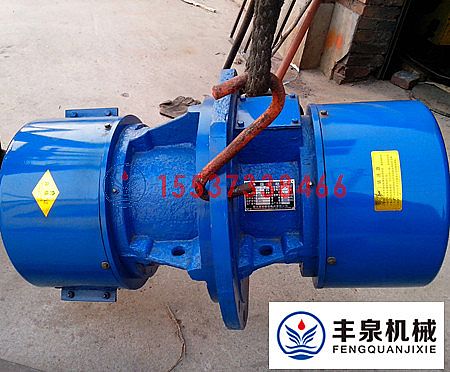 側板鑲嵌式（shì）振（zhèn）動（dòng）電（diàn）機（jī）