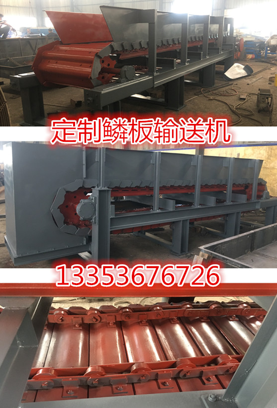定製鱗板輸送機廠家