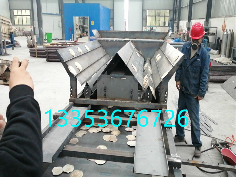 扇貝排序（xù）篩-扇貝排序直（zhí）線篩廠家-可大小分級正反分類2