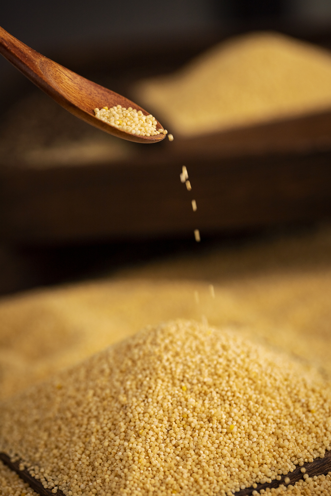 小米(mǐ)除雜使用直線篩與旋振篩對比