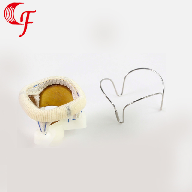 湖北（běi）心髒瓣（bàn）膜瓣架（Heart valve frame）