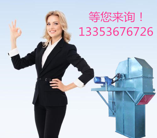 9.1免费看片環（huán）鏈（liàn）鬥式提升機等您來詢