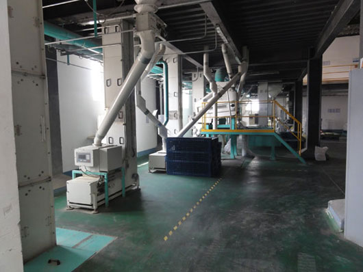 Z型鬥提（tí）機（jī）應用